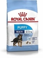 SHN MAXI PUPPY 4K